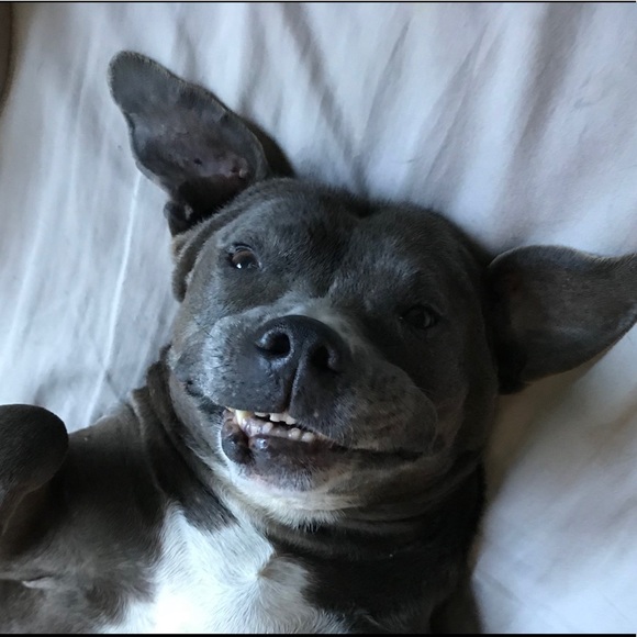 Hi!! I’m Priscilla! - Picture 6 of 8